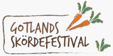 gsf logo 2